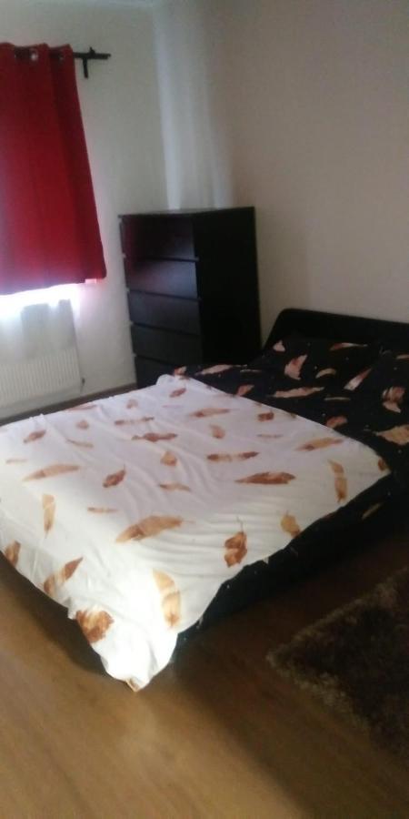 Apartament Marasesti バイア·マーレ エクステリア 写真
